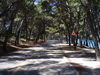 The Marjan Forest Park